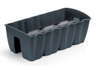 DONICZKA CROWN - ANTRACYTOWY PROSPERPLAST