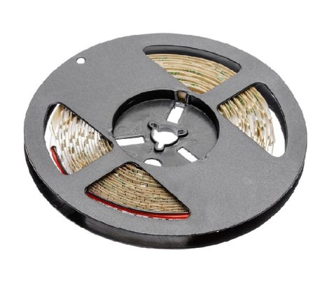 TAŚMA FLASH 3528 300LED BIAŁY CIEPŁY 24W IP20 8MM 5M 12V GTV