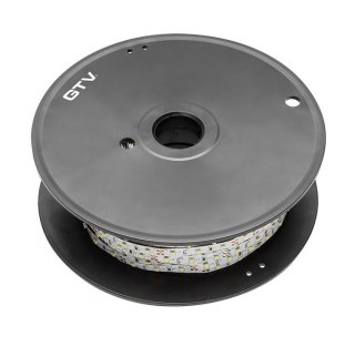 TAŚMA FLASH 3528 300LED BIAŁY ZIMNY 4,8W/M IP20 8MM 50M 12V GTV