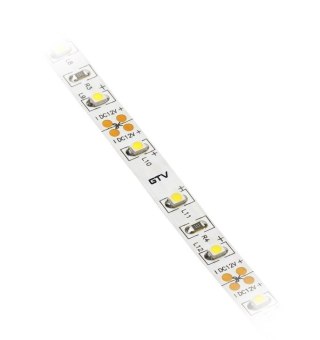 TAŚMA FLASH 3528 300LED BIAŁY ZIMNY 24W IP20 8MM 5M 12V GTV