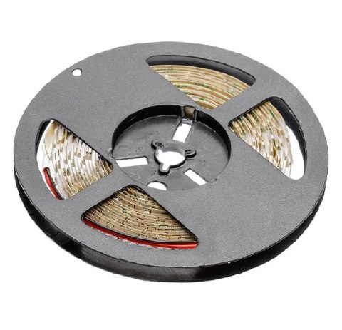 TAŚMA FLASH 3528 300LED BIAŁY ZIMNY 24W IP20 8MM 5M 12V GTV