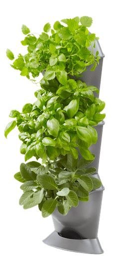 OGRÓD WERTYKALNY - ZESTAW NAROŻNY GARDENA