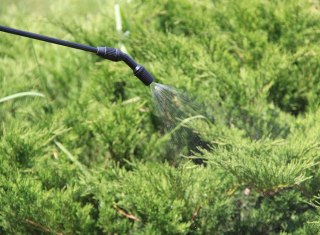 OPRYSKIWACZ CIŚNIENIOWY RĘCZNY 5L SPRAYER TOYA