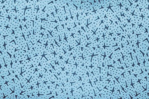 CZYŚCIWO WŁÓKNINOWE SONEX POLISH 32X37CM, 500 LISTKÓW SONEX