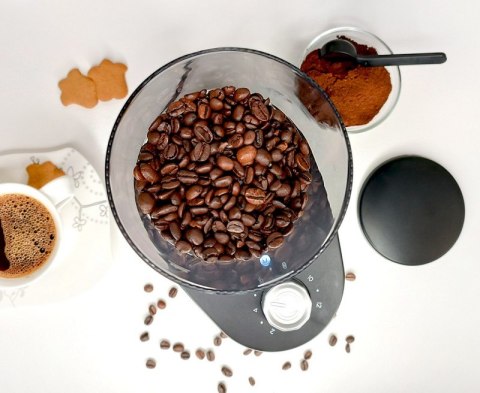 MŁYNEK DO KAWY UDAROWY FCM501 BLAUPUNKT