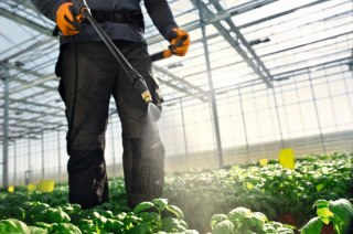 OPRYSKIWACZ PLECAKOWY SG 71 18L STIHL