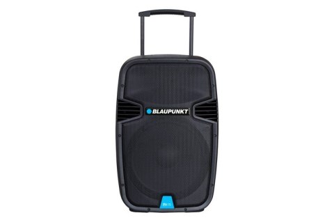 PROFESJONALNY SYSTEM AUDIO PA15 BLAUPUNKT