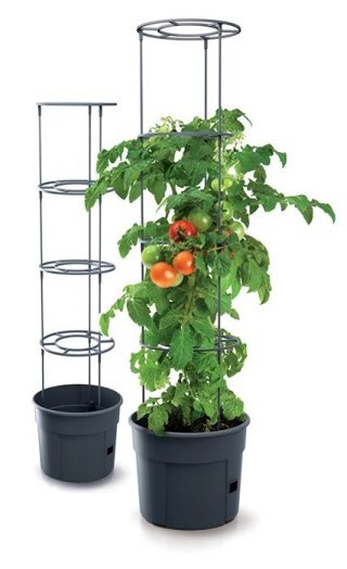 DONICZKA TOMATO GROWER - ANTRACYTOWY 12L PROSPERPLAST