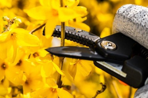 SEKATOR KOWADEŁKOWY 185MM ZAKRES DO 15MM REGULOWANY ROZSTAW NEO