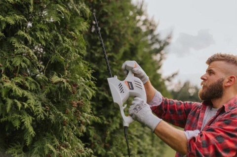 NOŻYCE DO ŻYWOPŁOTU 2000W, GHT41 PRIME3